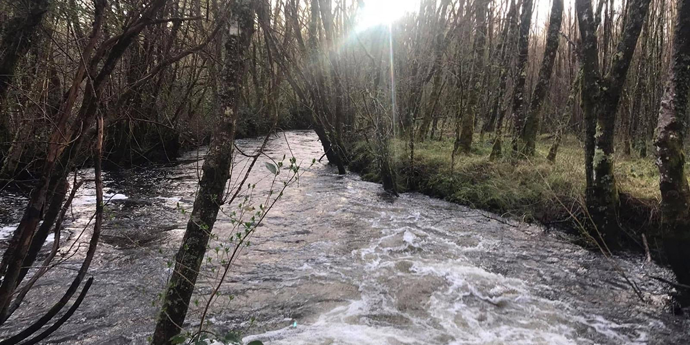 Figure → 76-project-gallery-3.webp (1)